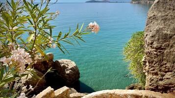 A coastal view with clear blue water, rocky terrain, and flowering plants.