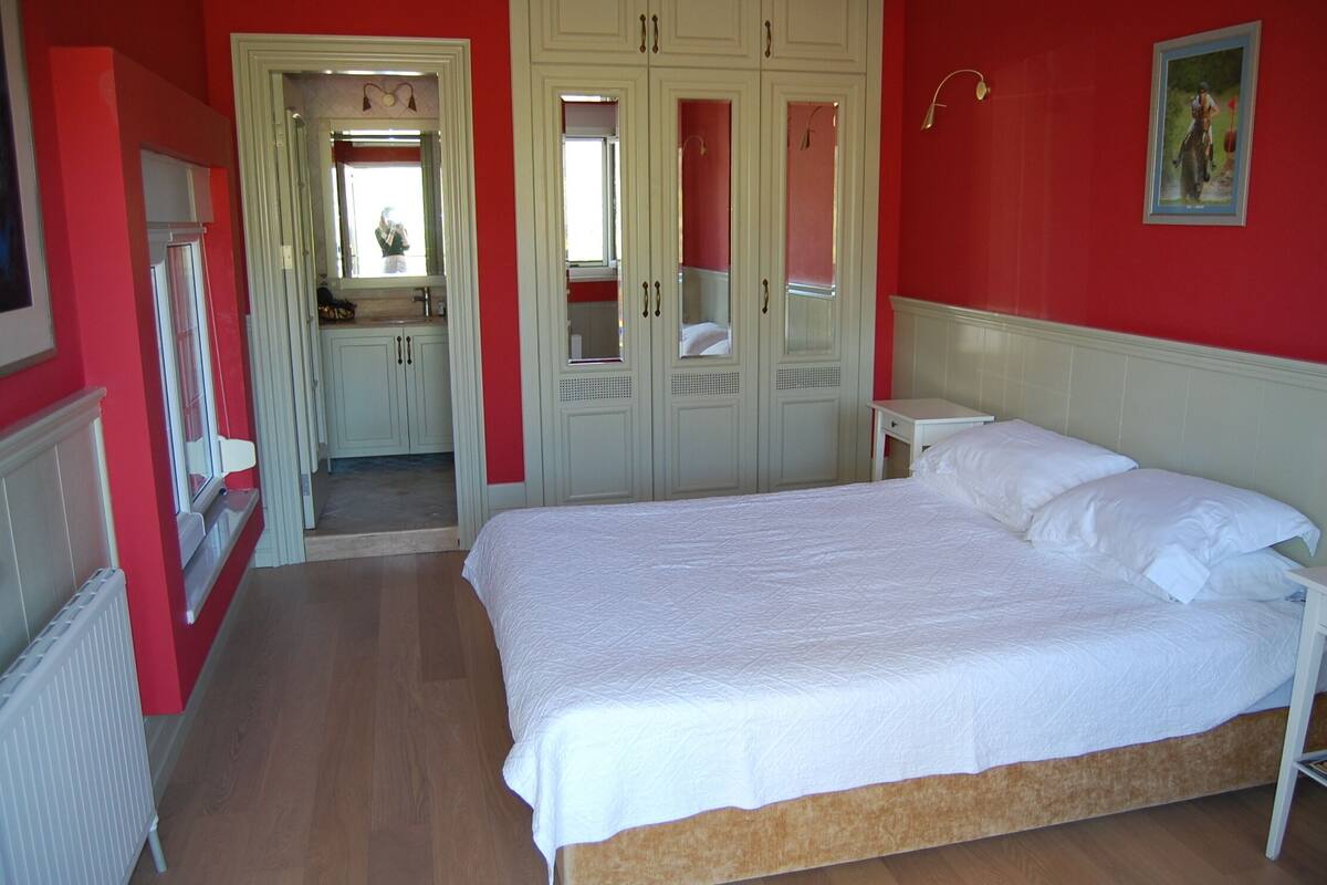 Luxury Double Room | Iron/ironing board (on request), WiFi (free), bed sheets