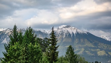 A mountain landscape with snow-capped peaks and dense forest in the foreground.