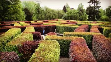 A meticulously landscaped garden with geometric hedges in various colors.