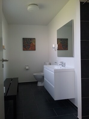 A modern bathroom with a toilet, sink, and a mirror. There are two abstract paintings on the walls. - Hals Hotel Apartment (Hals)