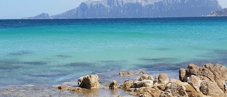 Vlak bij het strand, ligstoelen aan het strand