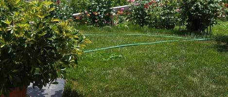 Área da propriedade