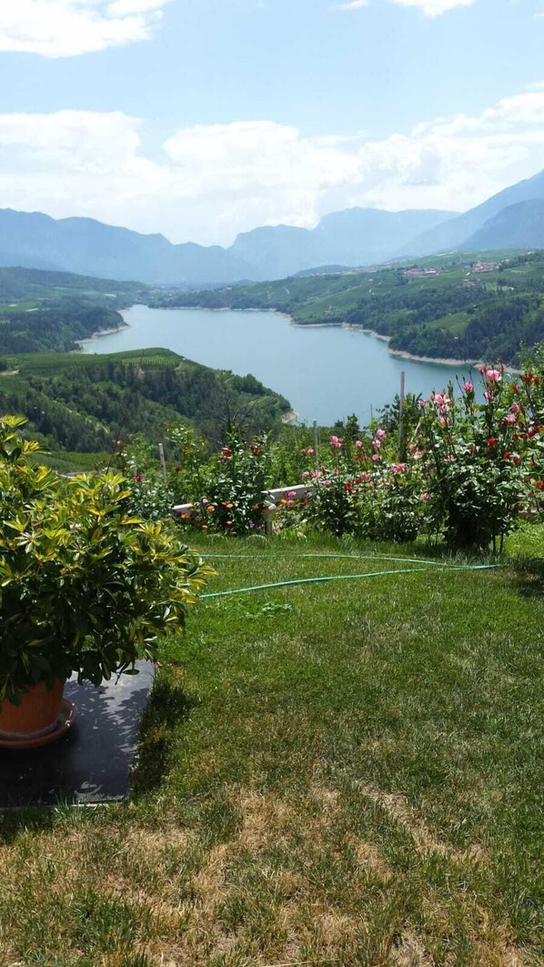 Property grounds - Agritur Vista Lago (Novella)