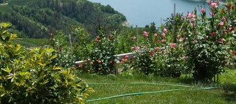 Agritur Vista Lago