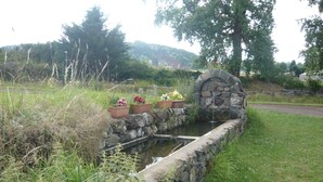 Een waterpartij van natuursteen met een kleine beek, omringd door weelderige begroeiing en bloeiende planten.