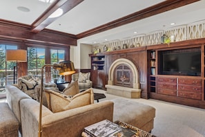 TV, fireplace, printers