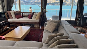 TV connectée, cheminée, livres, médiathèque