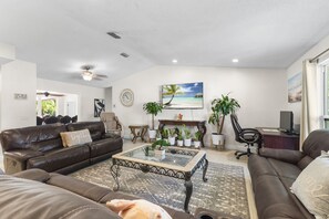 Smart TV, stereo, computer monitors