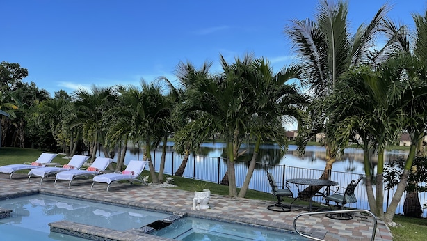 A swimming pool with lounge chairs, a small hot tub, and palm trees.
