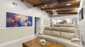 Smart TV, stereo, computer monitors