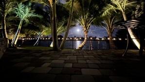 A nighttime outdoor area with palm trees and a paved walkway.