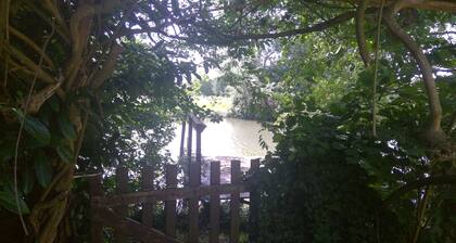 Une maison dans un parc naturel à l'énergie solaire