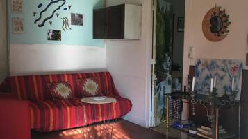 Télévision, cheminée, lecteur de DVD, livres