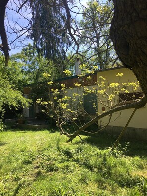 Terrain de l’hébergement 