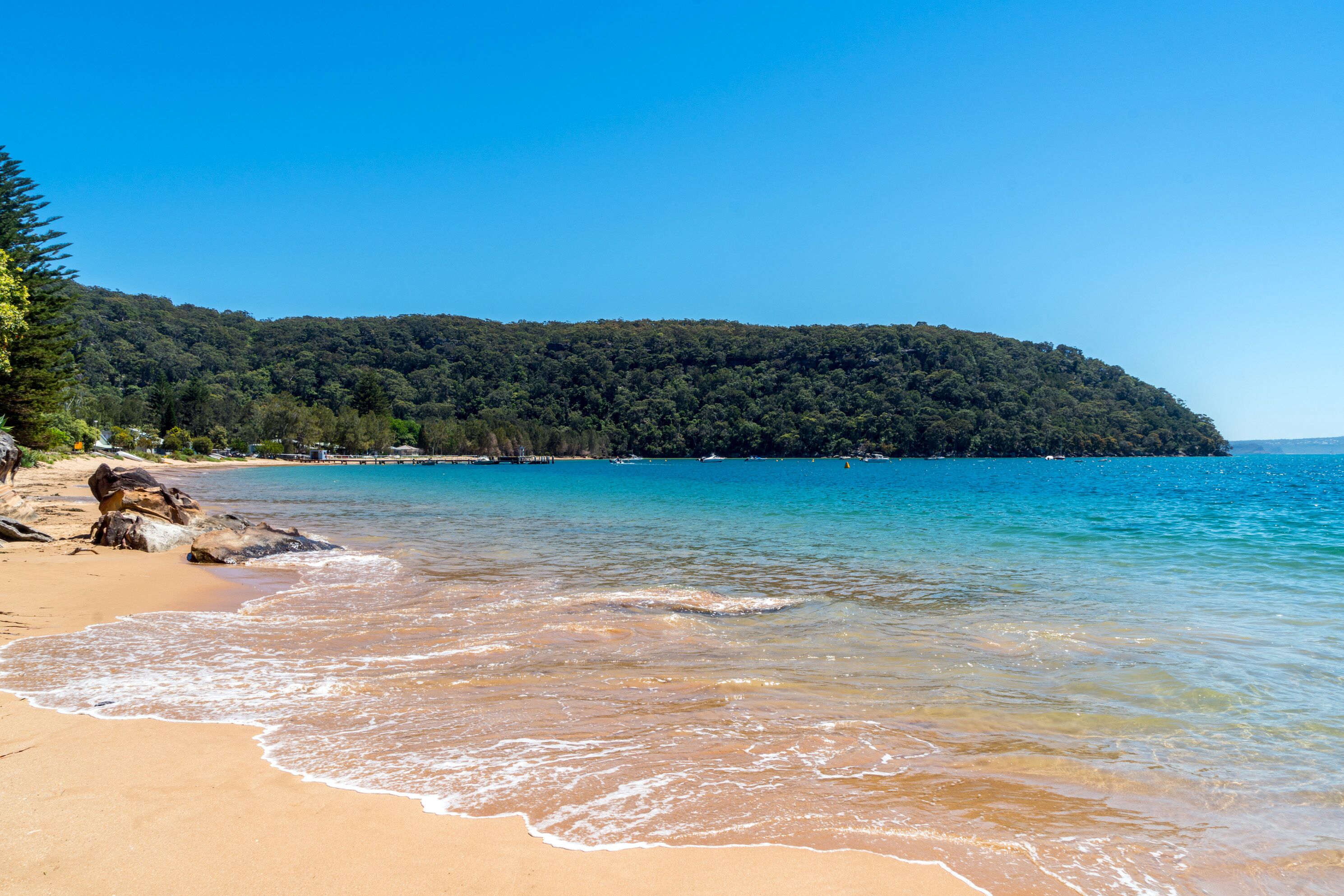 Great Mackerel Beach Cabin (Palm Beach and Pittwater Views) — image 26