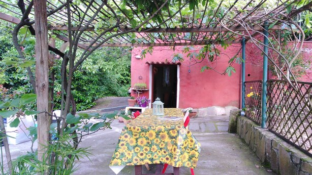 Ein überdachter Sitzbereich im Freien mit einem Tisch unter einer Holz-Pergola, umgeben von Grünpflanzen und einem roten Gebäude im Hintergrund.