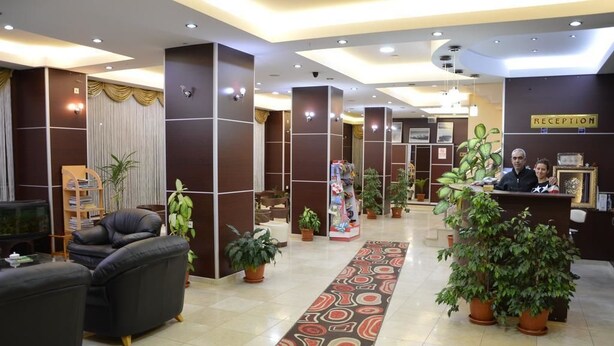 Zona de recepción de hotel con mostrador, un sofá, una estantería y plantas en macetas.