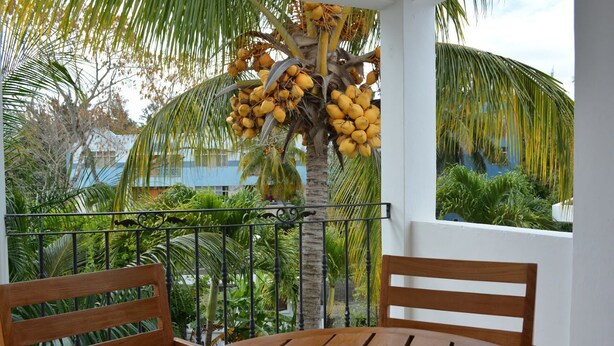 Terrace/patio - La Perla Holiday Apartment (Grand-Baie)