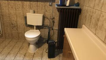 1-Zimmer-Apartment | Badezimmer | HandtĂŒcher