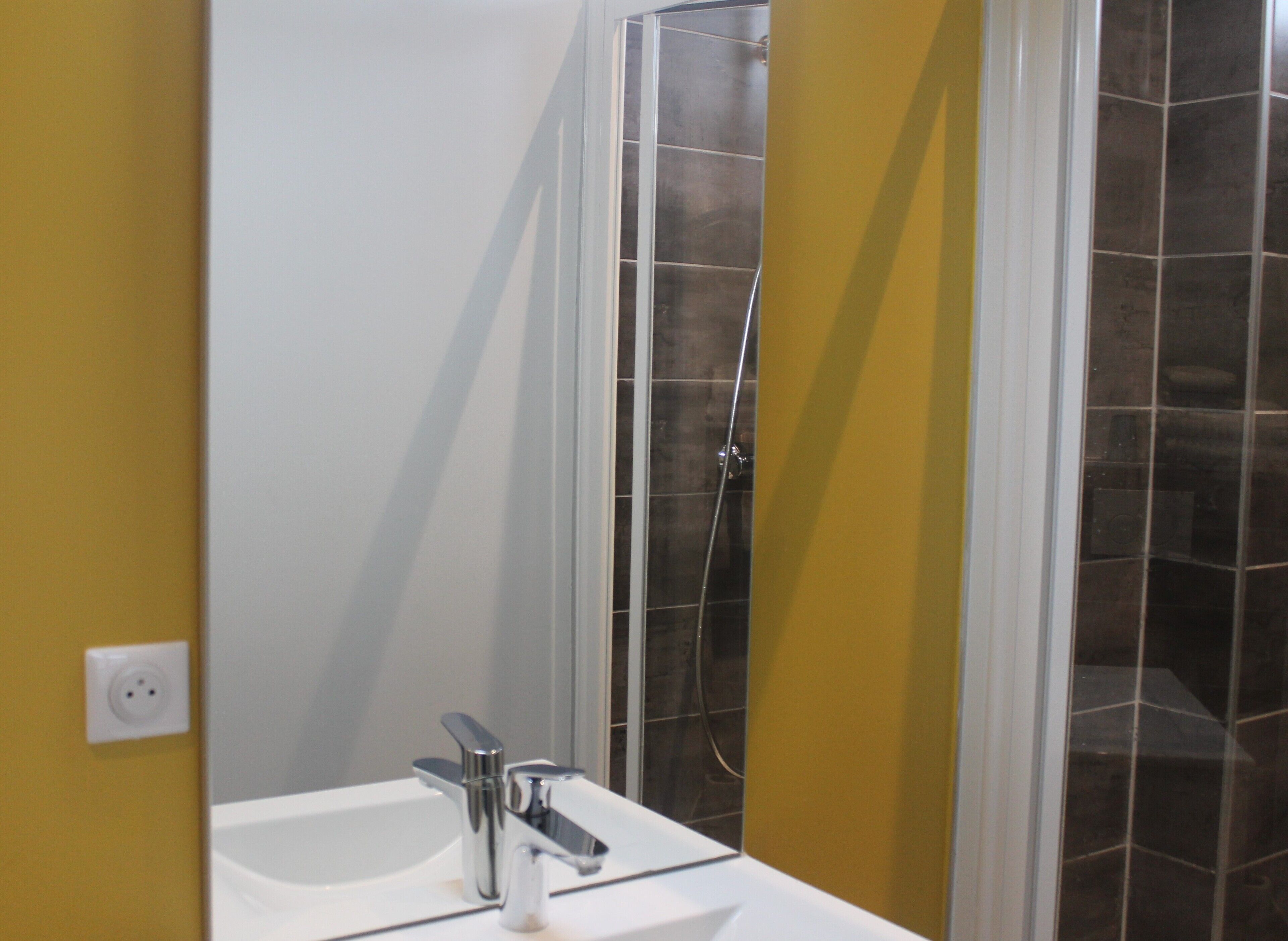 economy double or twin room | bathroom | shower, eco-friendly toiletries, hair dryer, towels