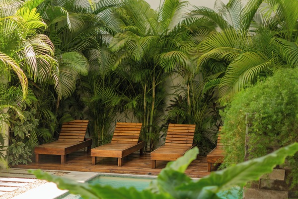 Outdoor pool, open 9:00 AM to 7:00 PM, sun loungers