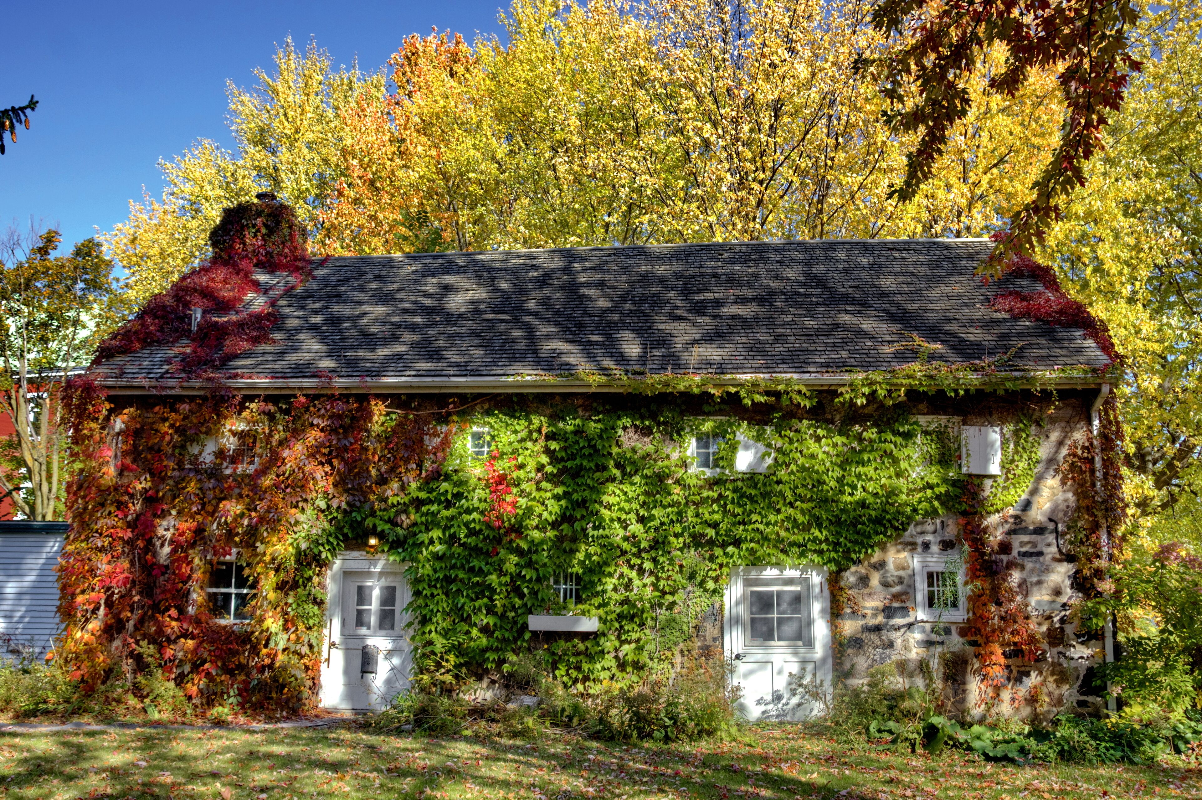 A stone house with ivy-covered walls and a sloped roof.