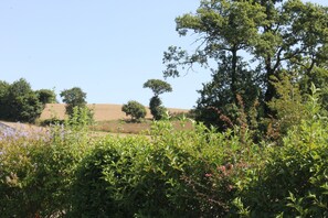 A natural landscape with trees and bushes. - Camping La Tourelle (Plémy)