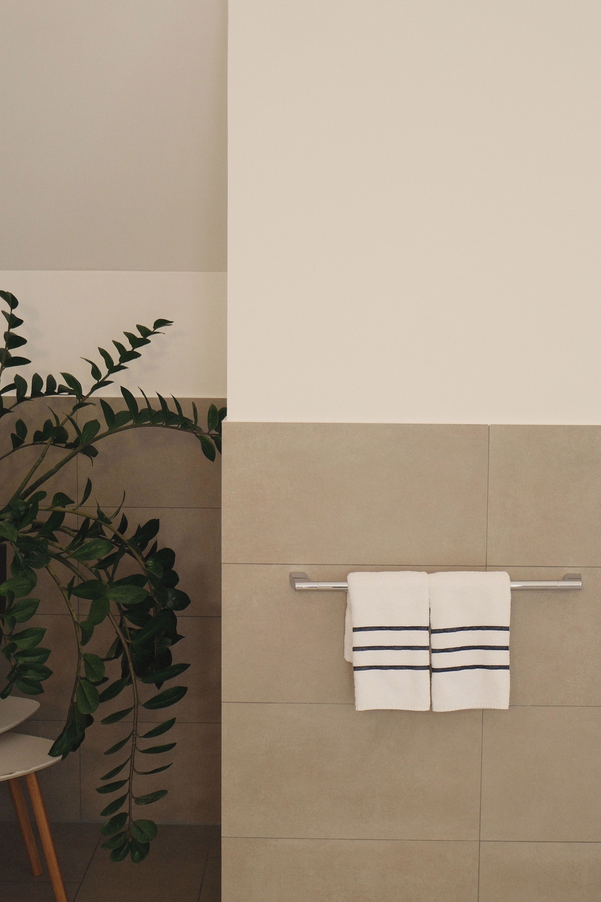 Un baño con un perchero, una planta y una pared con azulejos.