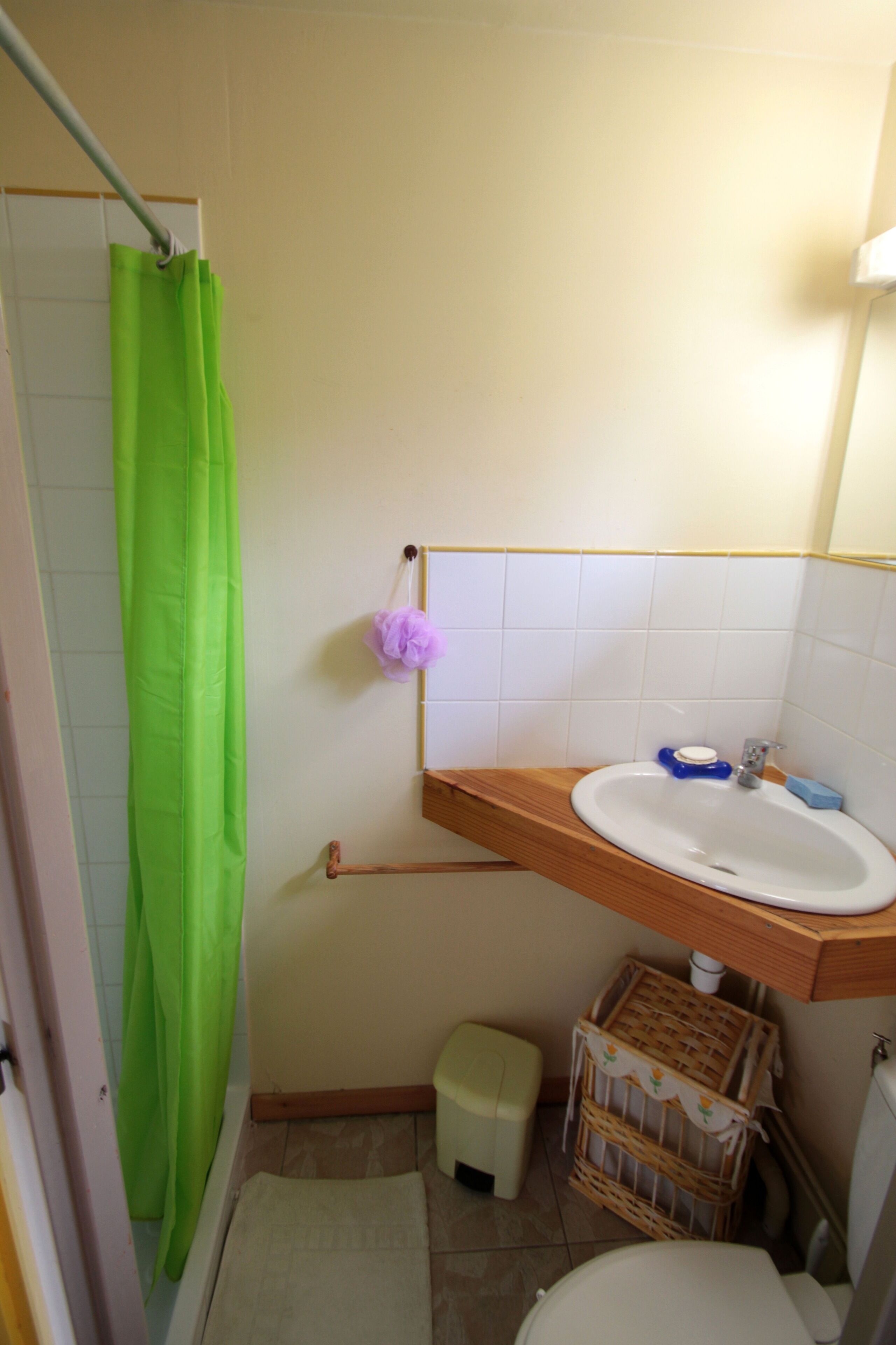 Shower, hair dryer, soap, toilet paper