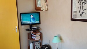 Une pièce avec un téléviseur, des étagères à livres, une lampe et un tableau encadré au mur.
