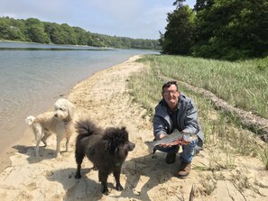 Beach nearby, sun loungers, beach towels - Waterfront Paradise!!  2020 discount pricing for this 5 star luxury Home. (Bourne)