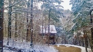 Eine Holzhütte mit schneebedecktem Dach, umgeben von dichtem Wald und einem verschneiten Pfad.