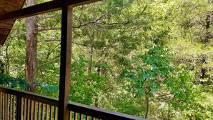 Eine hölzerne Konstruktion mit Blick auf einen dichten Wald.