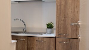 Eine moderne Küche mit Spüle aus Edelstahl, Holzschränken und einem kleinen Blumentopf.