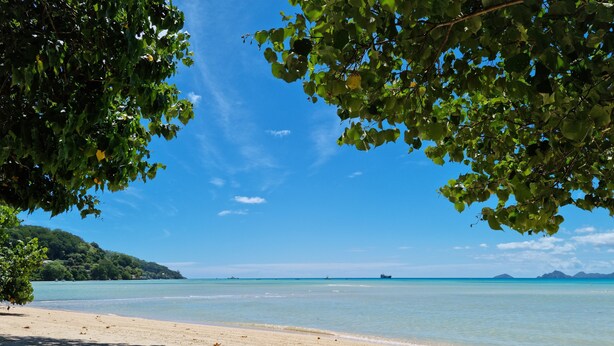 Playa