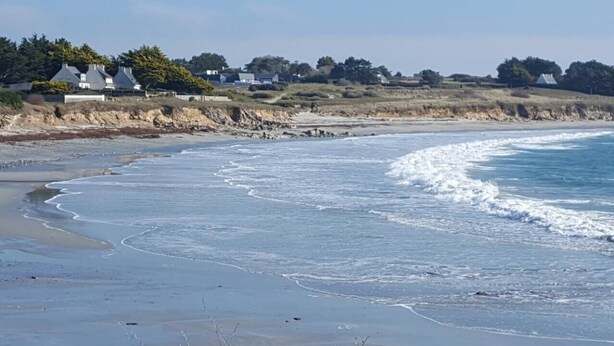 Une plage avec des vagues, une rive sablonneuse et des maisons en arrière-plan.