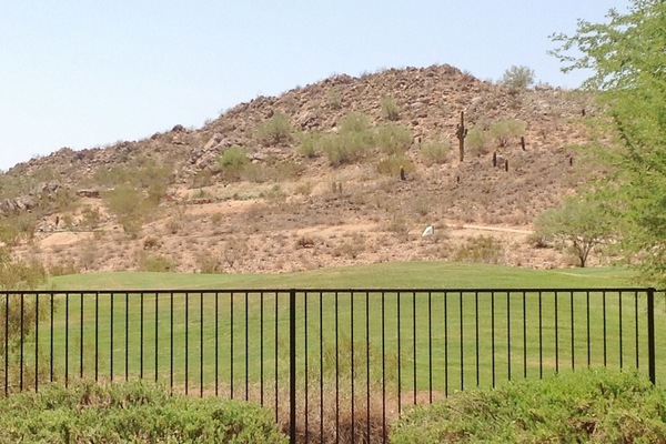 A view to enjoy of the putting green!
