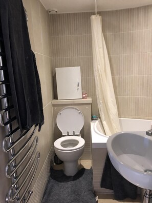 Combined shower/bathtub, jetted bath, hair dryer, towels