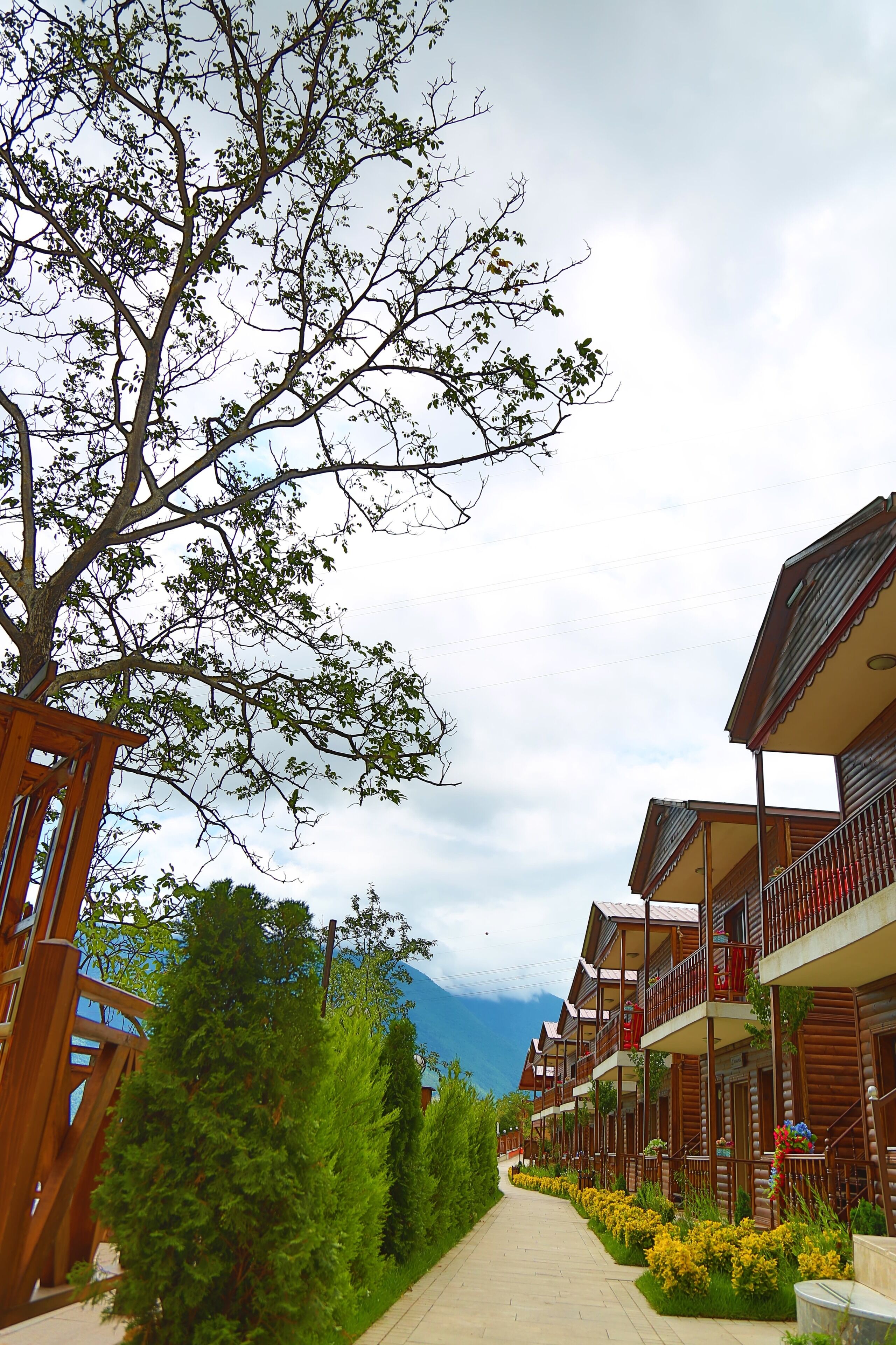 Outdoor banquet area