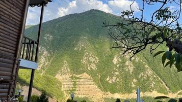 Deluxe Apartment, Balcony | View from room