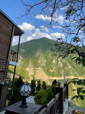 Deluxe Apartment, Balcony | View from room