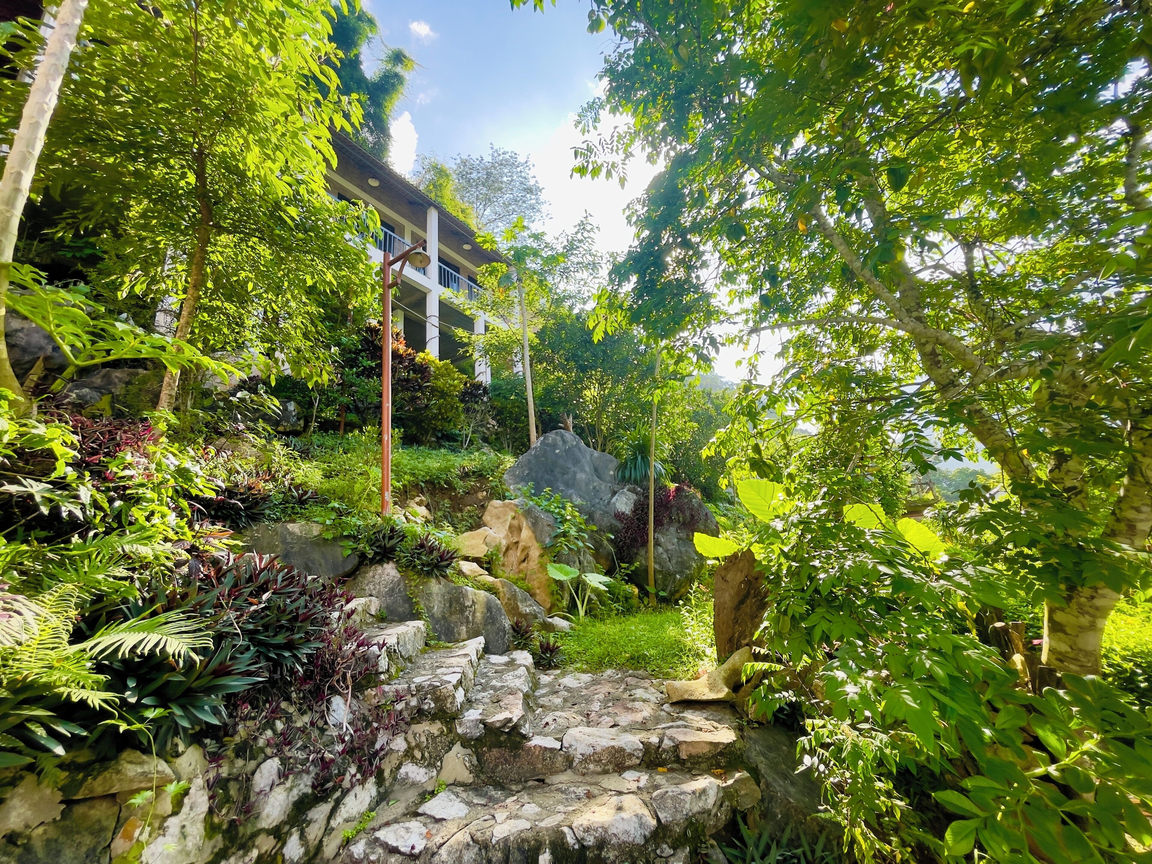 A lush garden with a stone pathway leading to a building.