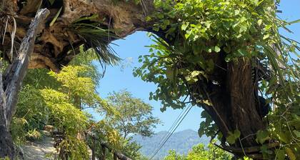 Ba Be Lakeside Bungalow