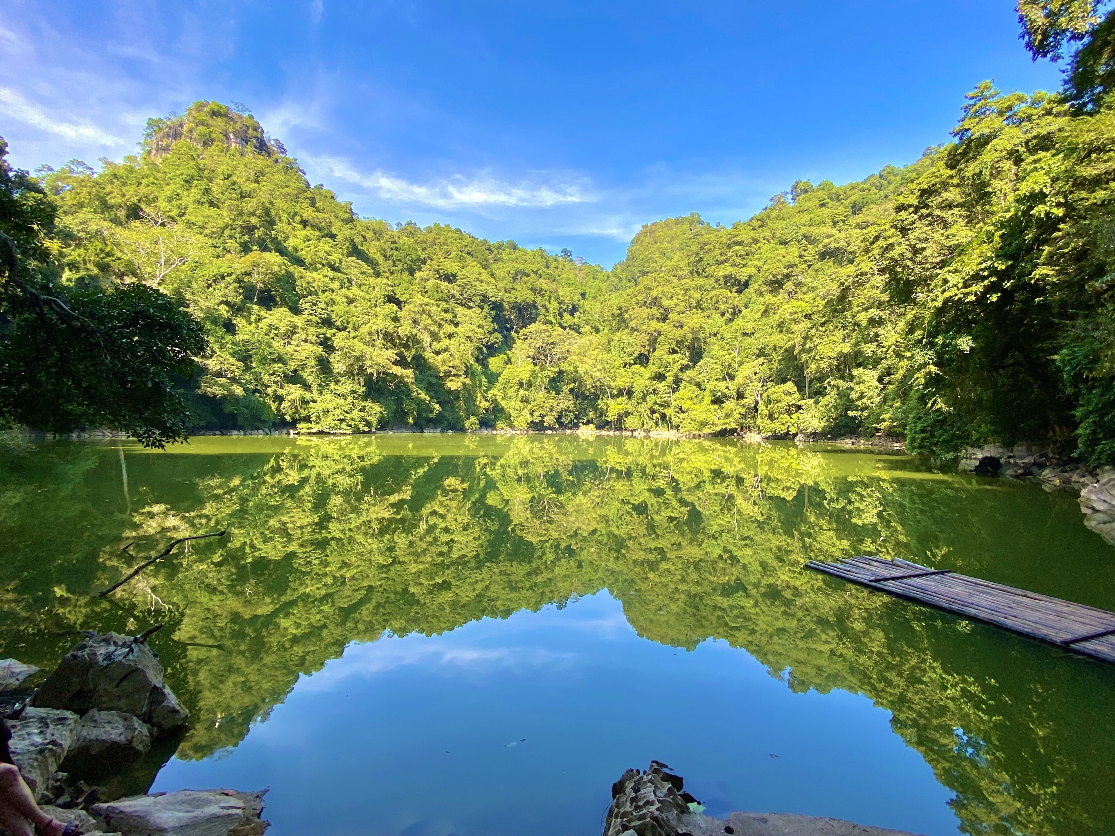 A serene lake surrounded by dense forest, with a wooden dock extending into the water.