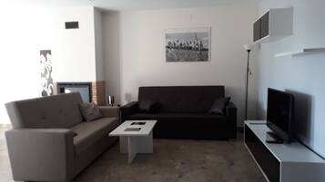 Télévision, cheminée, livres