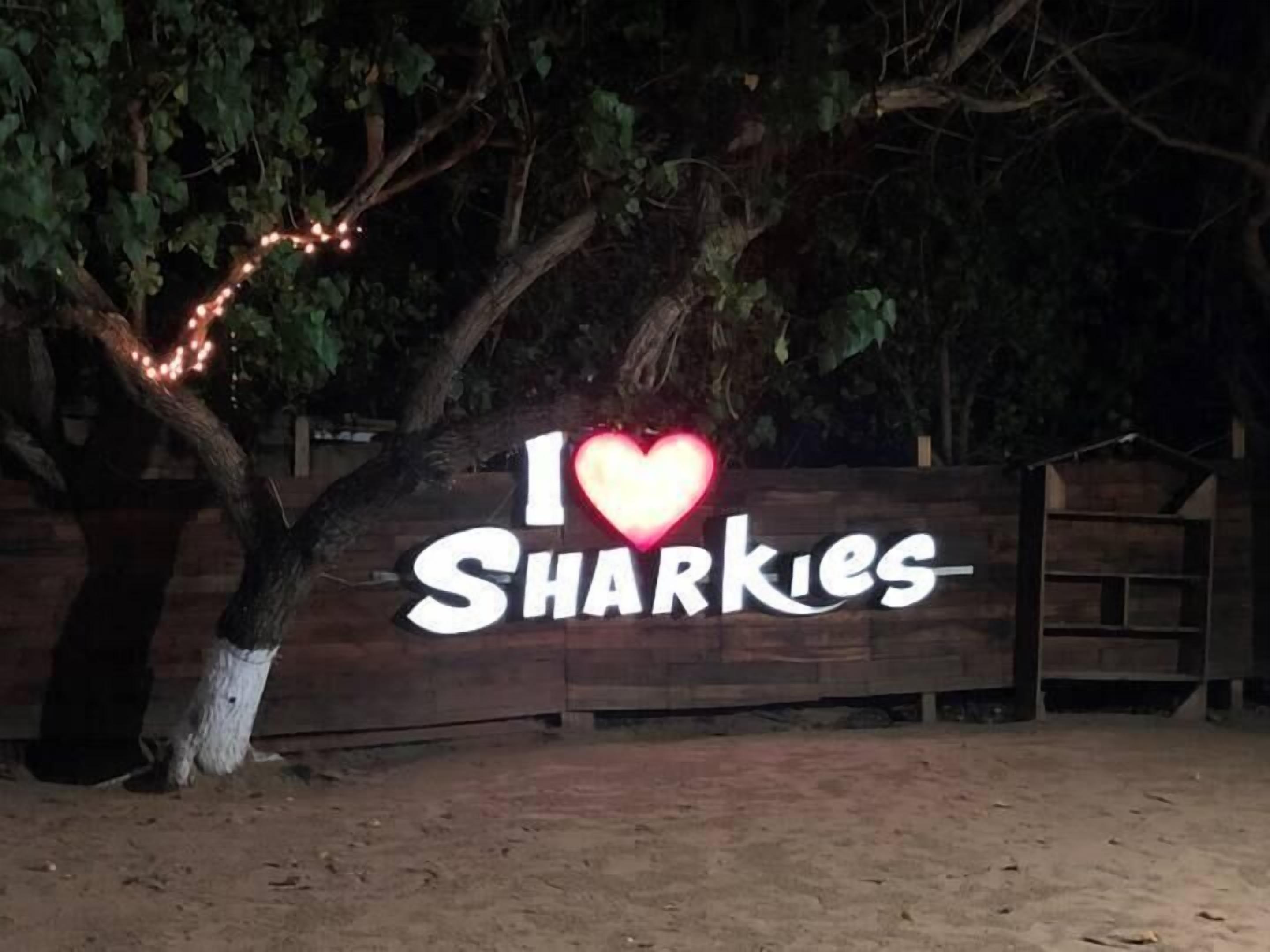 Ein Holzschild mit der Aufschrift „I ♥ Sharks“, beleuchtet durch Lichter.
