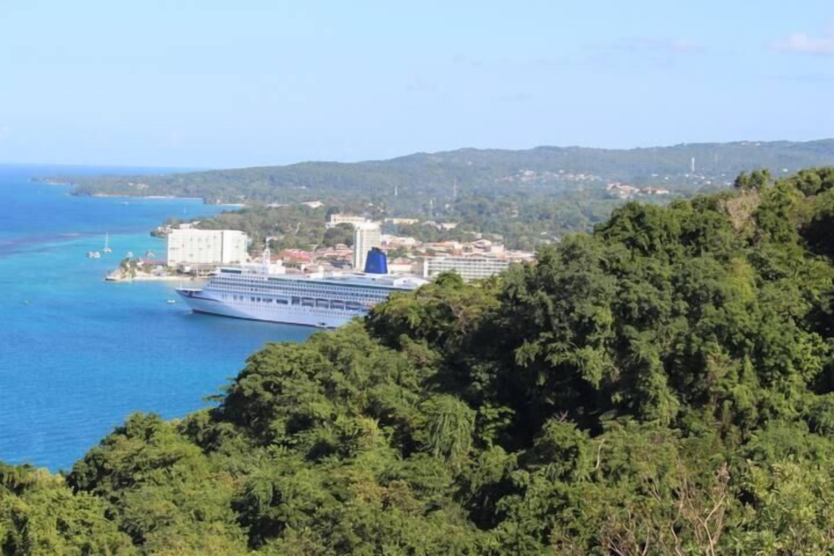 A cruise ship docked at a port with a view of a coastal town and surrounding hills.