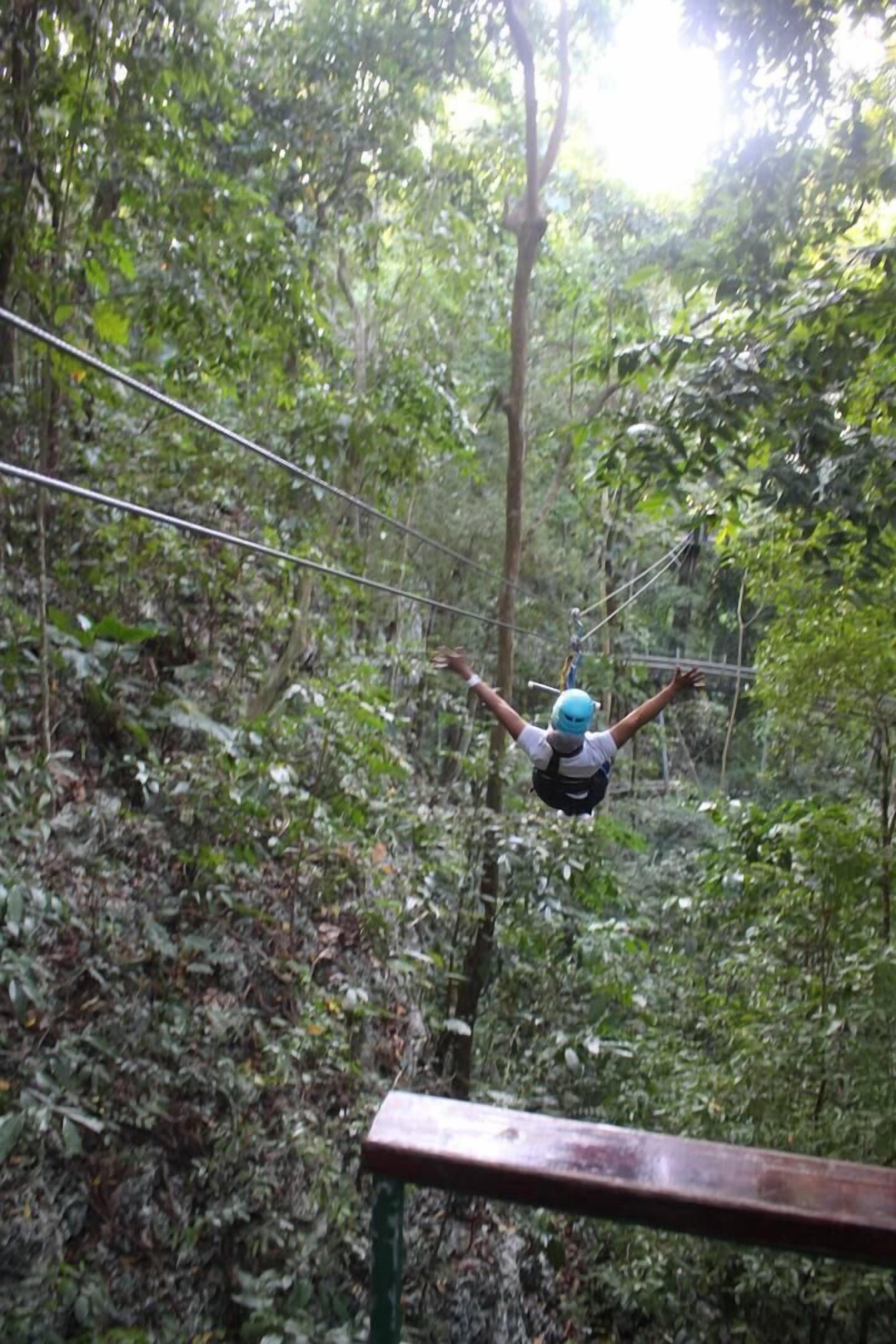 En person åker på en zipline genom ett skogsområde med tät vegetation och träräcken.