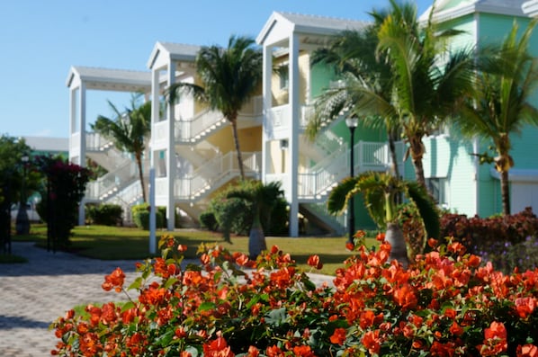 A resort with a white and green building, palm trees, and red flowers in the foreground.